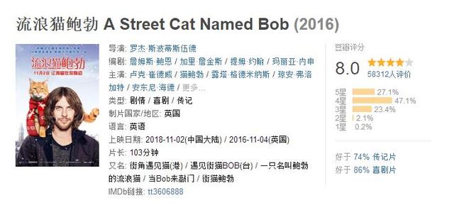 等了两年终于来了！11月档最高口碑电影就是这部《流浪猫鲍勃》！
