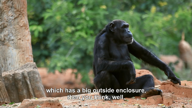 [BBC地平线:我们该关了动物园吗?｜BBC Horizon: Should We Close Our Zoos][2016]插图2