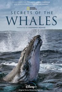 [鲸鱼的秘密｜Secrets of the Whales][2021]