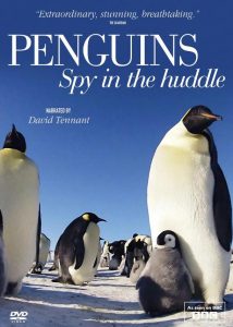 [企鹅群里有特务 Penguins: Spy in the Huddle][2012]