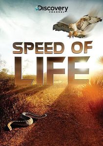 [探索频道:生命的速度 Discovery Channel:Speed of Life][2010]