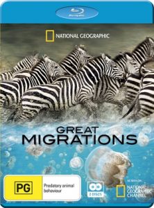 [大迁徙 Great Migrations][2010]