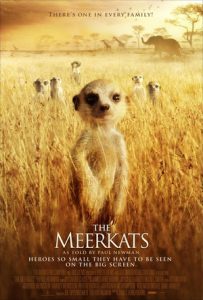 [蒙哥 The Meerkats][2008][2.4G]
