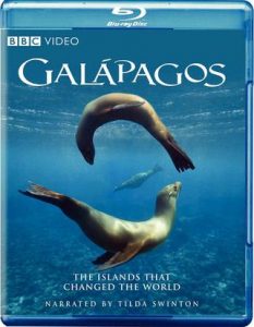 [加拉帕戈斯群岛 Galápagos][2006]