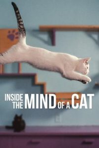 [喵星人的奇思妙想 Inside the Mind of a Cat][2022]