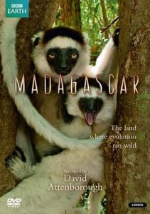 [马达加斯加 Madagascar][2011]