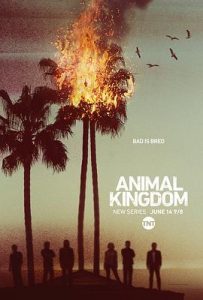 [野兽家族 第1-6季 Animal Kingdom Season 1-6]