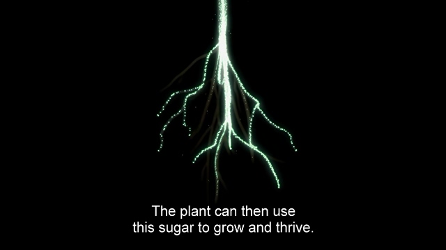 [种出个地球 How To Grow A Planet][2012]