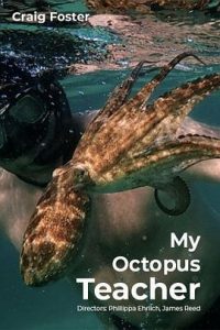 [我的章鱼老师 My Octopus Teacher][2020][3.91G]