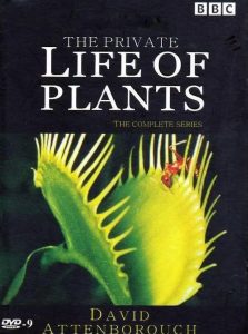 [植物私生活 The Private Life of Plants][1995]