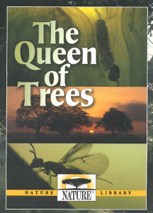 [树之女皇 The Queen of Trees][2005]