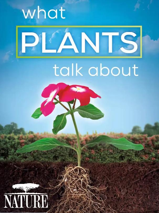[自然:植物间的对话 Nature: What Plants Talk About][2013]