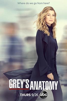 [实习医生格蕾 第十六季 Grey's Anatomy Season 16][2019]
