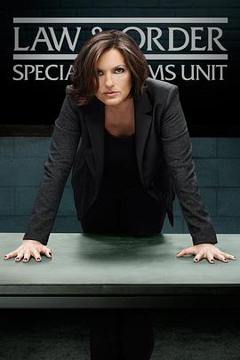 [法律与秩序:特殊受害者 第16-20季 Law & Order: Special Victims Unit Season 16-20]