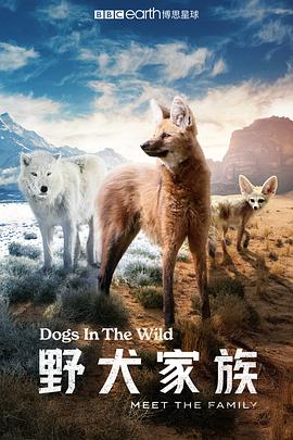 [野犬家族 Dogs in the Wild: Meet the Family][2022]