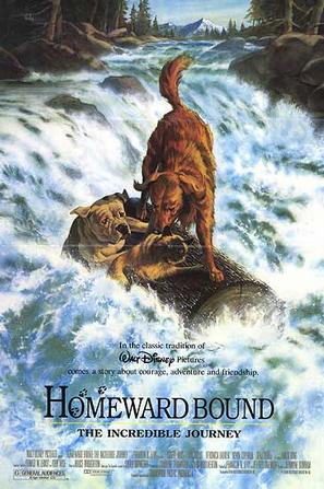 [看狗在说话 Homeward Bound: The Incredible Journey][1993][2.64G]