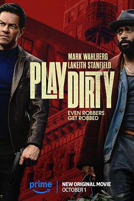 [盗亦有道 Play Dirty][2025][3.15G]