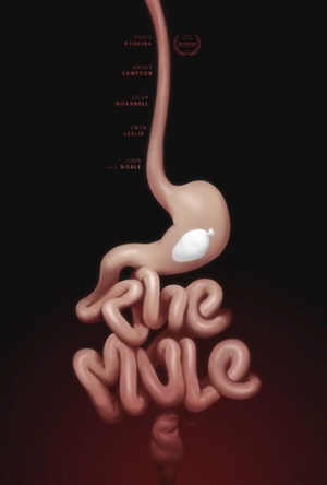 [骡子 The Mule][2014][3.14G]
