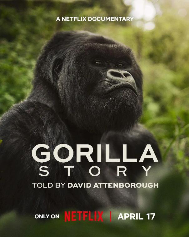 [大卫·艾登堡:大猩猩的故事 A Gorilla Story: Told by David Attenborough][2026]